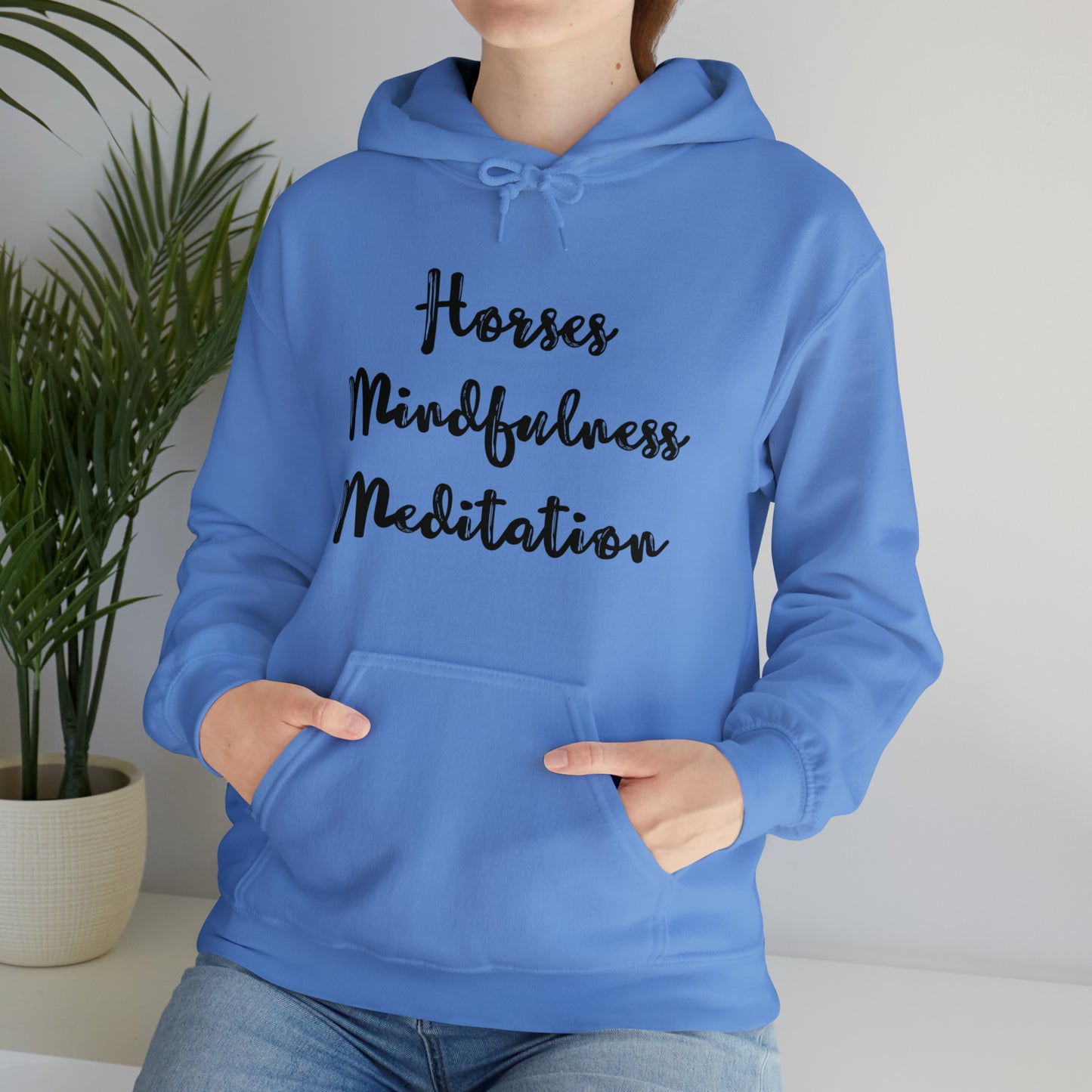 Horses Mindfulness Meditation