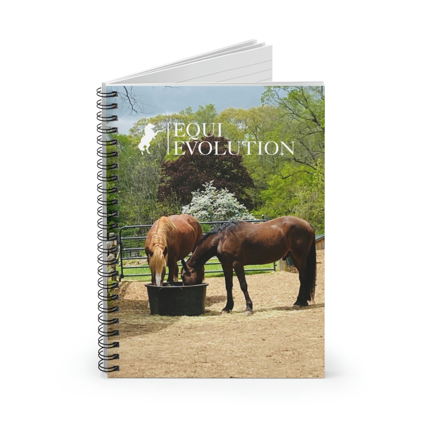 Equi Evolution Journal